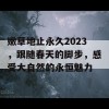 嫩草地止永久2023，跟随春天的脚步，感受大自然的永恒魅力