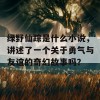 绿野仙踪是什么小说，讲述了一个关于勇气与友谊的奇幻故事吗？