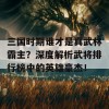 三国时期谁才是真武林霸主？深度解析武将排行榜中的英雄豪杰！