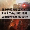 亚洲砖码砖专区2022站长工具，提升你网站流量与优化技巧的秘密武器