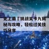 史上最囧挑战关卡九揭秘与攻略，轻松过关技巧分享