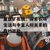 重返矿石镇：探索农场生活与丰富人际关系的奇妙冒险