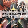 小蝌蚪实业有限公司：活力无限的小企业助力创新与发展