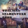 考研词汇SILICON怎么翻译为中文及其应用解析