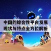 中国的综合性平台发展现状与特点全方位解析