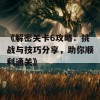 《解密关卡6攻略：挑战与技巧分享，助你顺利通关》