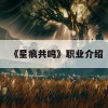 《星痕共鸣》职业介绍