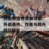 阴阳师结界突破详解：开启条件、作用与提升技巧解析