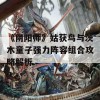 《阴阳师》姑获鸟与茨木童子强力阵容组合攻略解析