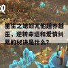 重生之媳妇儿他越养越歪，逆转命运和爱情纠葛的秘诀是什么？