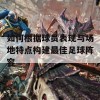 如何根据球员表现与场地特点构建最佳足球阵容