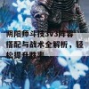 阴阳师斗技3v3阵容搭配与战术全解析，轻松提升胜率