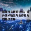 露娜符文搭配详解：提升法术输出与生存能力的最佳选择