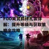 FGO英灵羁绊礼装详解：提升等级与获取策略全攻略