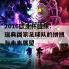 2016欧洲杯回顾：瑞典国家足球队的拼搏与未来展望