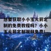 想要获取小小玉火箭定制的免费教程吗？小小玉火箭定制视频免费！