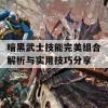 暗黑武士技能完美组合解析与实用技巧分享