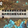 半面镜真骨科兄长双胞胎的奇幻旅程与成长故事