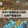 对用户数据的深入剖析：站用户数据分析