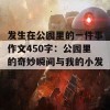 发生在公园里的一件事作文450字：公园里的奇妙瞬间与我的小发现