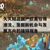 久久精品国产欧美引领潮流，发掘新机会与发展方向的独特视角