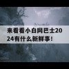 来看看小白网巴士2024有什么新鲜事！