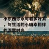 小东西你水可着多好紧，与生活的小确幸相伴的温馨时光