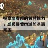 畅享怡春院的独特魅力，感受馨香四溢的浪漫氛围