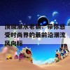 顶级潮水老狼：带你感受时尚界的最前沿潮流风向标