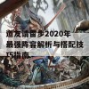 道友请留步2020年最强阵容解析与搭配技巧指南