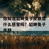 你知道貂蝉兔子皮肤是什么感觉吗？貂蝉兔子皮肤