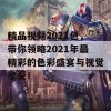 精品视频2021色，带你领略2021年最精彩的色彩盛宴与视觉享受！