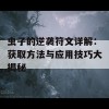 虫子的逆袭符文详解：获取方法与应用技巧大揭秘