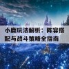 小鹿玩法解析：阵容搭配与战斗策略全指南