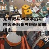 龙珠激斗v0版本后期阵容全解析与搭配策略指南