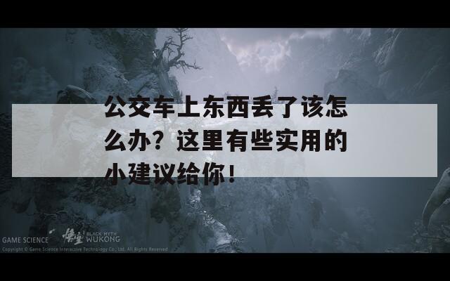 公交车上东西丢了该怎么办？这里有些实用的小建议给你！