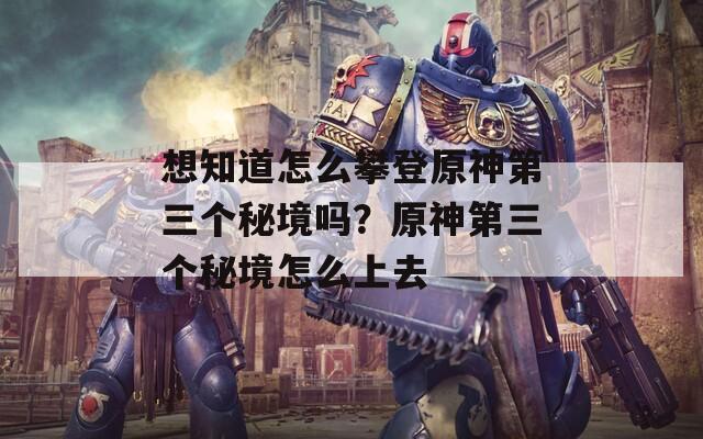 想知道怎么攀登原神第三个秘境吗？原神第三个秘境怎么上去