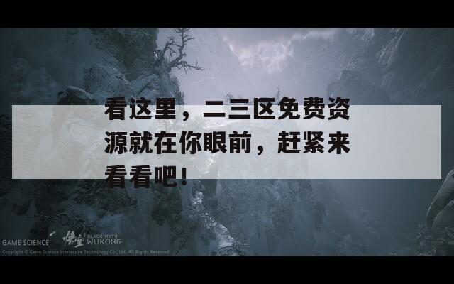 看这里，二三区免费资源就在你眼前，赶紧来看看吧！