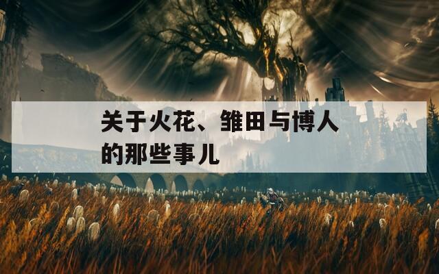 关于火花、雏田与博人的那些事儿