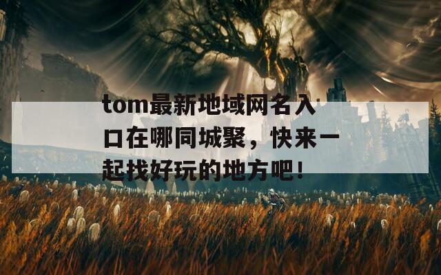 tom最新地域网名入口在哪同城聚，快来一起找好玩的地方吧！