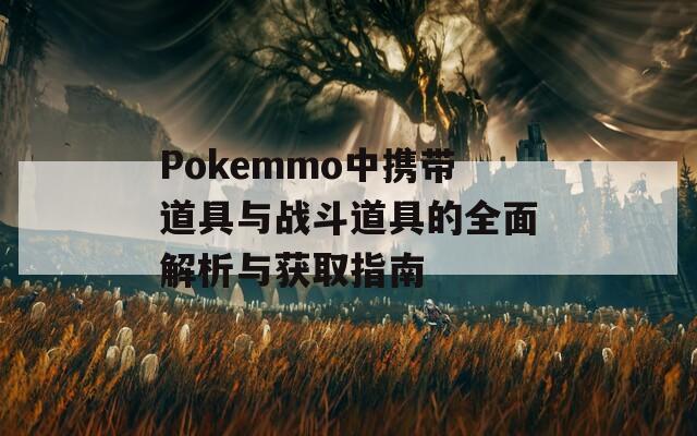 Pokemmo中携带道具与战斗道具的全面解析与获取指南