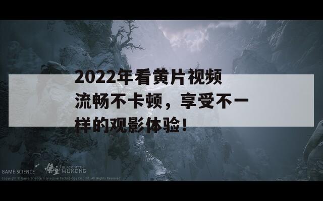 2022年看黄片视频流畅不卡顿，享受不一样的观影体验！