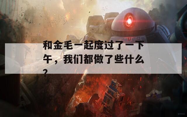 和金毛一起度过了一下午，我们都做了些什么？