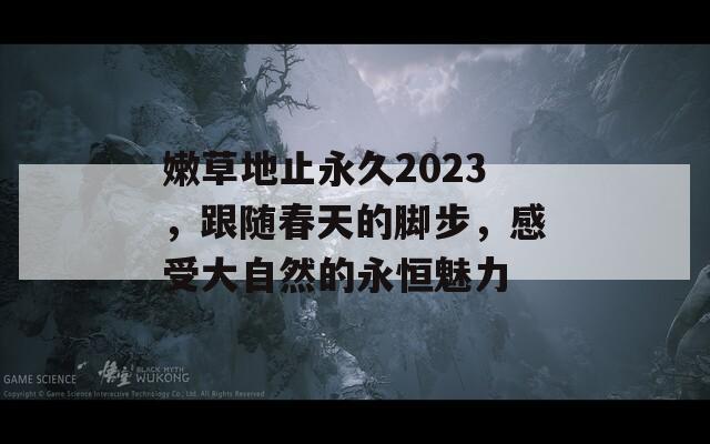 嫩草地止永久2023，跟随春天的脚步，感受大自然的永恒魅力