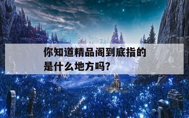 你知道精品阁到底指的是什么地方吗？