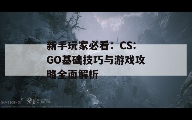 新手玩家必看：CS:GO基础技巧与游戏攻略全面解析