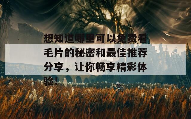 想知道哪里可以免费看毛片的秘密和最佳推荐分享，让你畅享精彩体验！