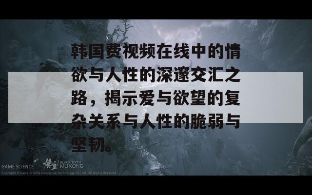 韩国费视频在线中的情欲与人性的深邃交汇之路，揭示爱与欲望的复杂关系与人性的脆弱与坚韧。