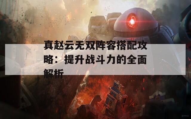 真赵云无双阵容搭配攻略：提升战斗力的全面解析