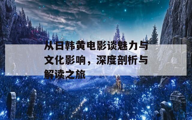 从日韩黄电影谈魅力与文化影响，深度剖析与解读之旅